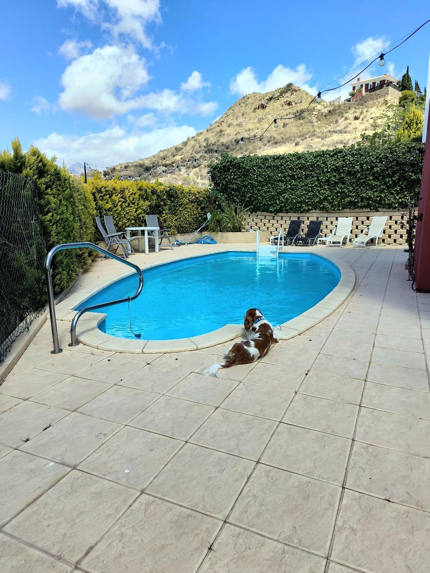 Villa Alicante - Bonalba Golf Mutxamel  Exterior foto